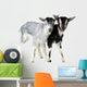 Little Farm Goats Wall Decal