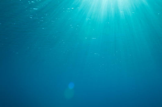 With Sunbeams Underwater