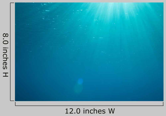 With Sunbeams Underwater