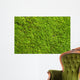 Green Lichen Wall Decal