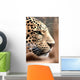 Leopard Wall Mural