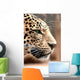 Leopard Wall Mural