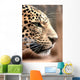 Leopard Wall Mural