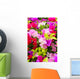 Colorful Bougainvillea Flower Wall Mural