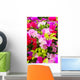 Colorful Bougainvillea Flower Wall Mural