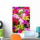Colorful Bougainvillea Flower Wall Mural