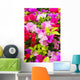 Colorful Bougainvillea Flower Wall Mural