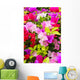 Colorful Bougainvillea Flower Wall Mural
