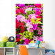 Colorful Bougainvillea Flower Wall Mural