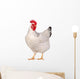Chicken isolated on white. Wall Decal