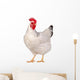 Chicken isolated on white. Wall Decal