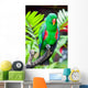 Great-billed Parrot Nature Surrounding