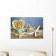 Summer Concept with Seashells Wall Mural