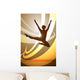 Silhouettes Gymnastics Wall Mural