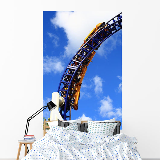 Roller Coaster