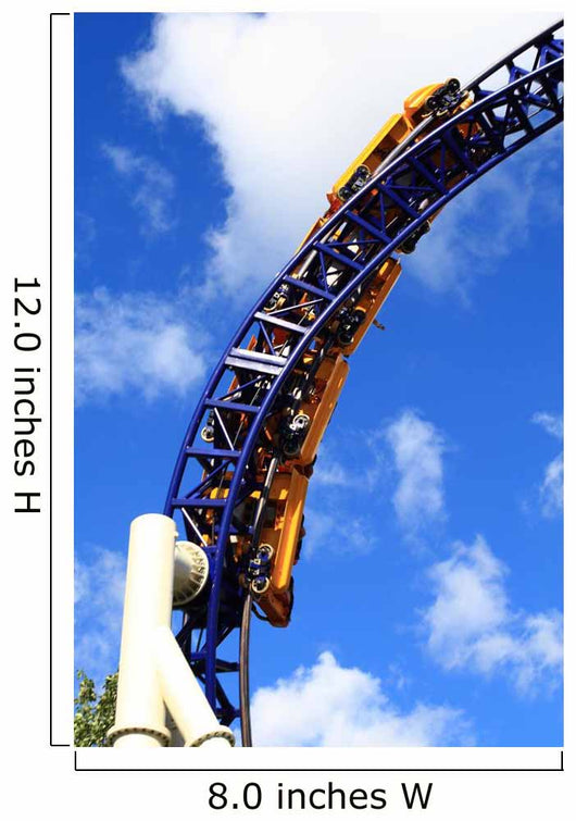 Roller Coaster