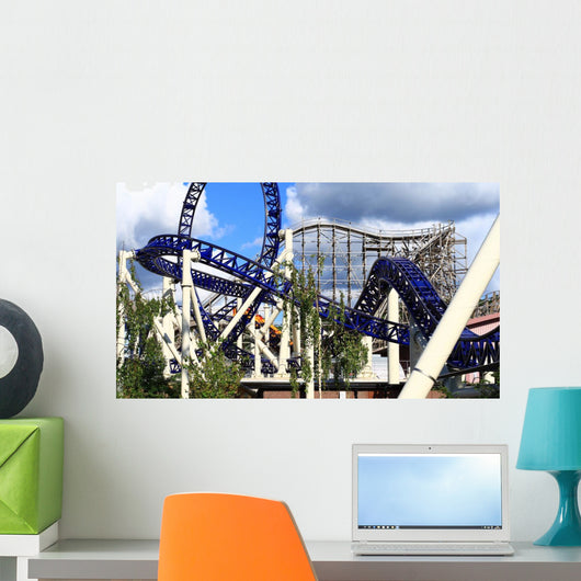 Roller Coaster Wall Mural