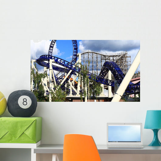 Roller Coaster Wall Mural