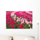 Field Tulips Wall Mural