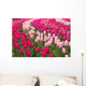 Field Tulips Wall Mural