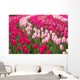 Field Tulips Wall Mural