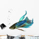 Siamese fighting fish Wall Decal