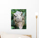 Dinosaur Wall Mural