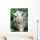 Dinosaur Wall Mural
