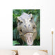 Dinosaur Wall Mural