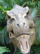 Dinosaur Wall Mural