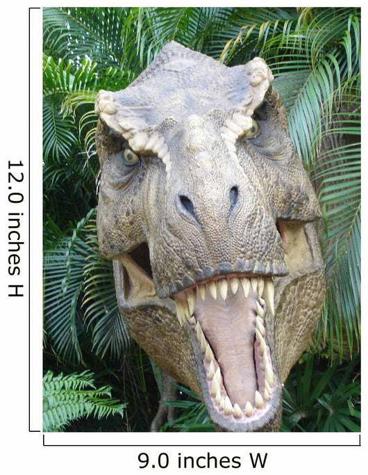 Dinosaur Wall Mural