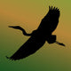 Heron Bird Silhouette Wall Mural