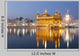 Golden Temple illuminated at night Wall Mural