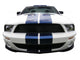 Muscle Wall Decal