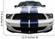 Muscle Wall Decal