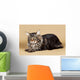 Maine Coon Brown Wall Mural