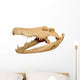 Alligator skull Wall Decal