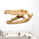 Alligator skull Wall Decal