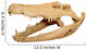 Alligator skull Wall Decal