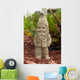 Garden Gnome