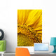 Sunflower Wall Mural