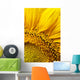 Sunflower Wall Mural