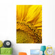 Sunflower Wall Mural