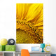 Sunflower Wall Mural