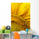 Sunflower Wall Mural