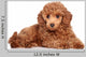 Red Toy Poodle Puppy