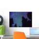 Time Delay Of Stars Wall Mural