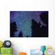 Time Delay Of Stars Wall Mural