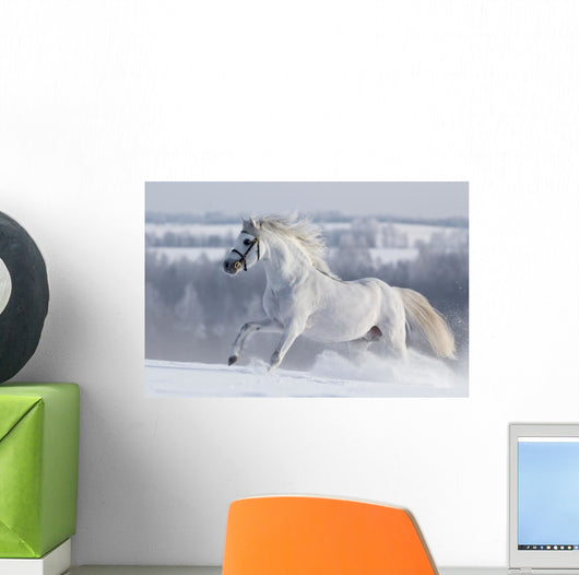 White Horse Gallops Field