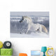 White Horse Gallops Field